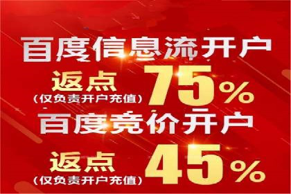 某品牌SEM推广代运营的实践与效果评估